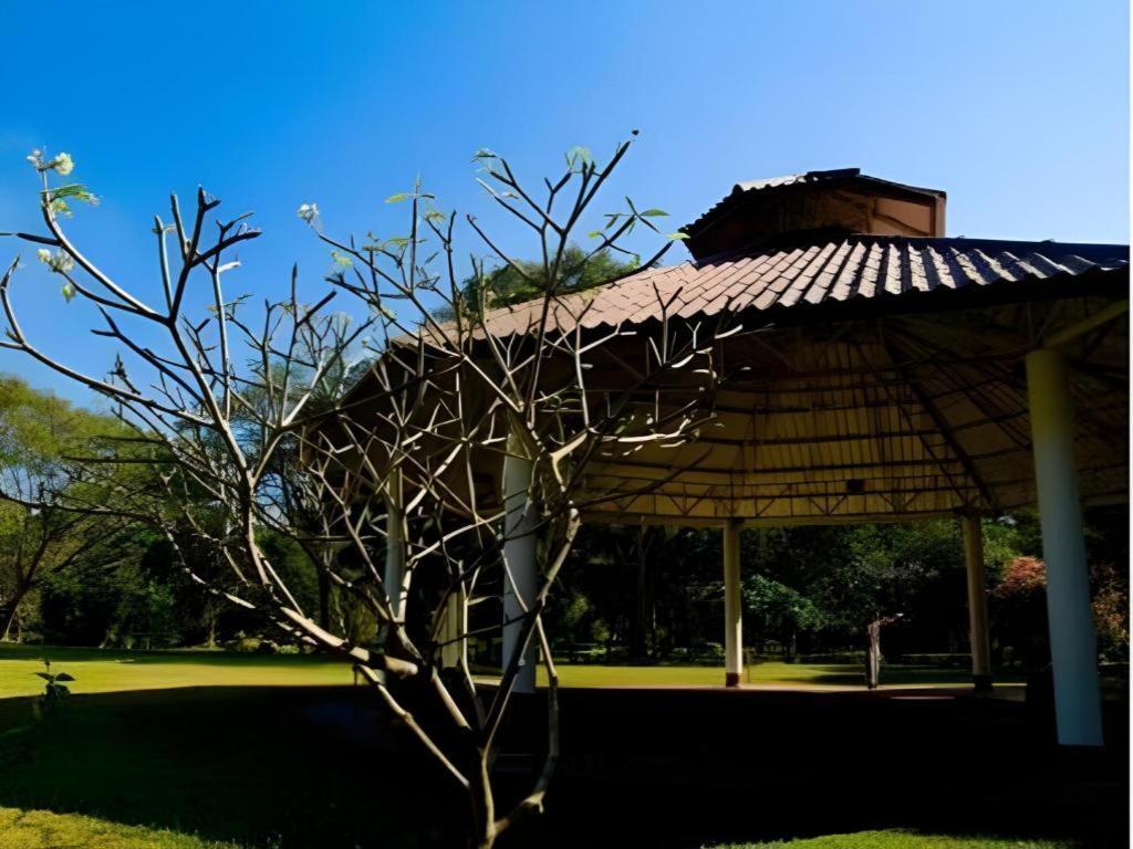 Tao Garden Health Spa & Resort Chiangmai Chiang Mai Buitenkant foto